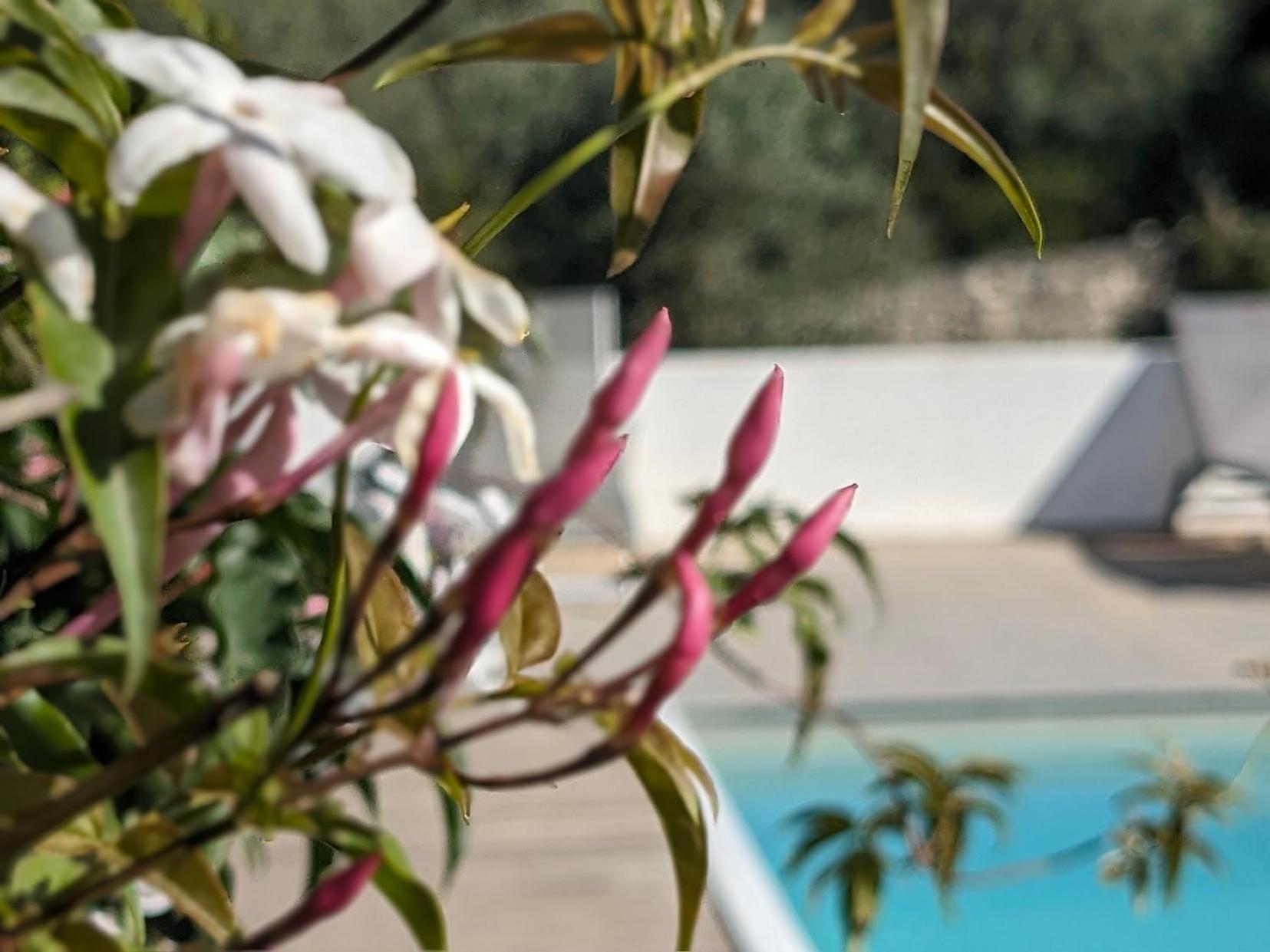 Casa Boho - Turismo Rural อัลวาโดส ภายนอก รูปภาพ